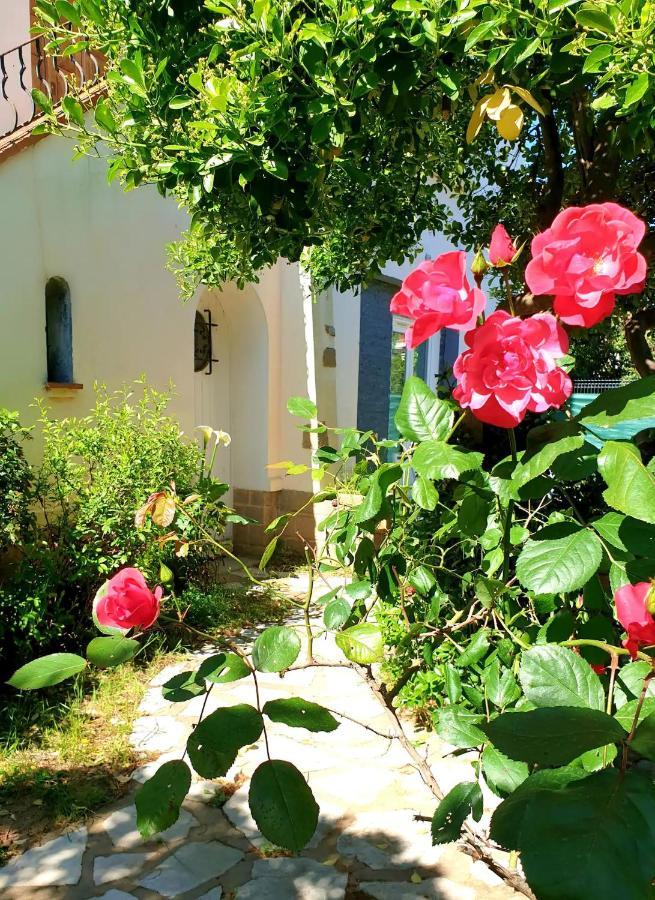 Studio Au Calme Tout Confort Proche Des Plages - Jardin Wifi Parking Fréjus Zewnętrze zdjęcie